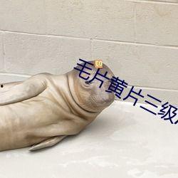 三级毛片图片