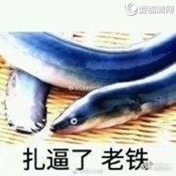 黄鳝女主播正面照片,揭秘网络红人的真实面貌