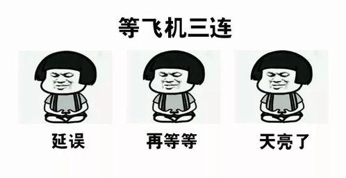 延误 表情包,捕捉生活瞬间，笑对等待时光