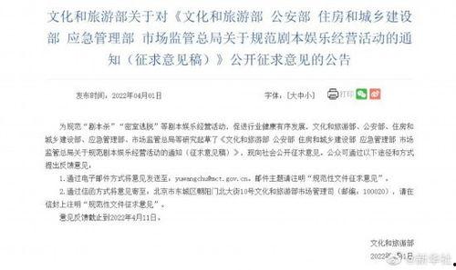 娱乐活动稿子,精彩活动稿子亮点大盘点